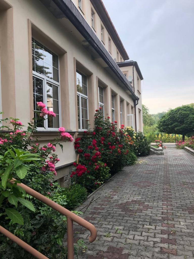 Grandhotel Nový Bor المظهر الخارجي الصورة